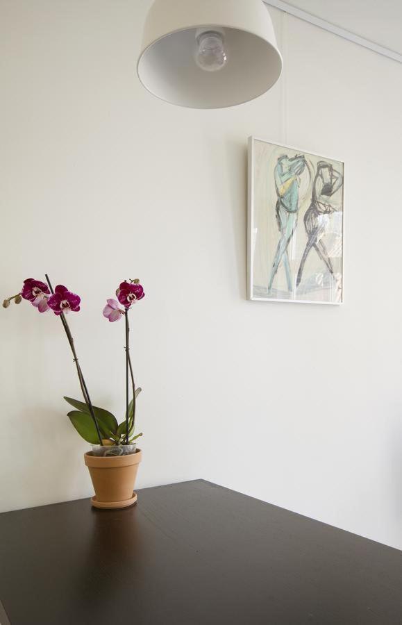 אמסטרדם Tweede Laurierdwarsstraat Apartment מראה חיצוני תמונה